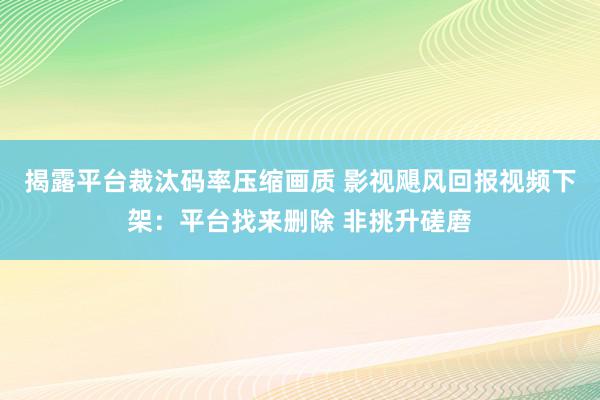 揭露平台裁汰码率压缩画质 影视飓风回报视频下架：平台找来删除 非挑升磋磨